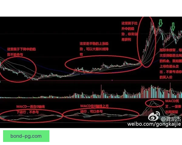 聚焦世界杯出线形势演变与各队晋级前景未来展望分析格局趋势研判